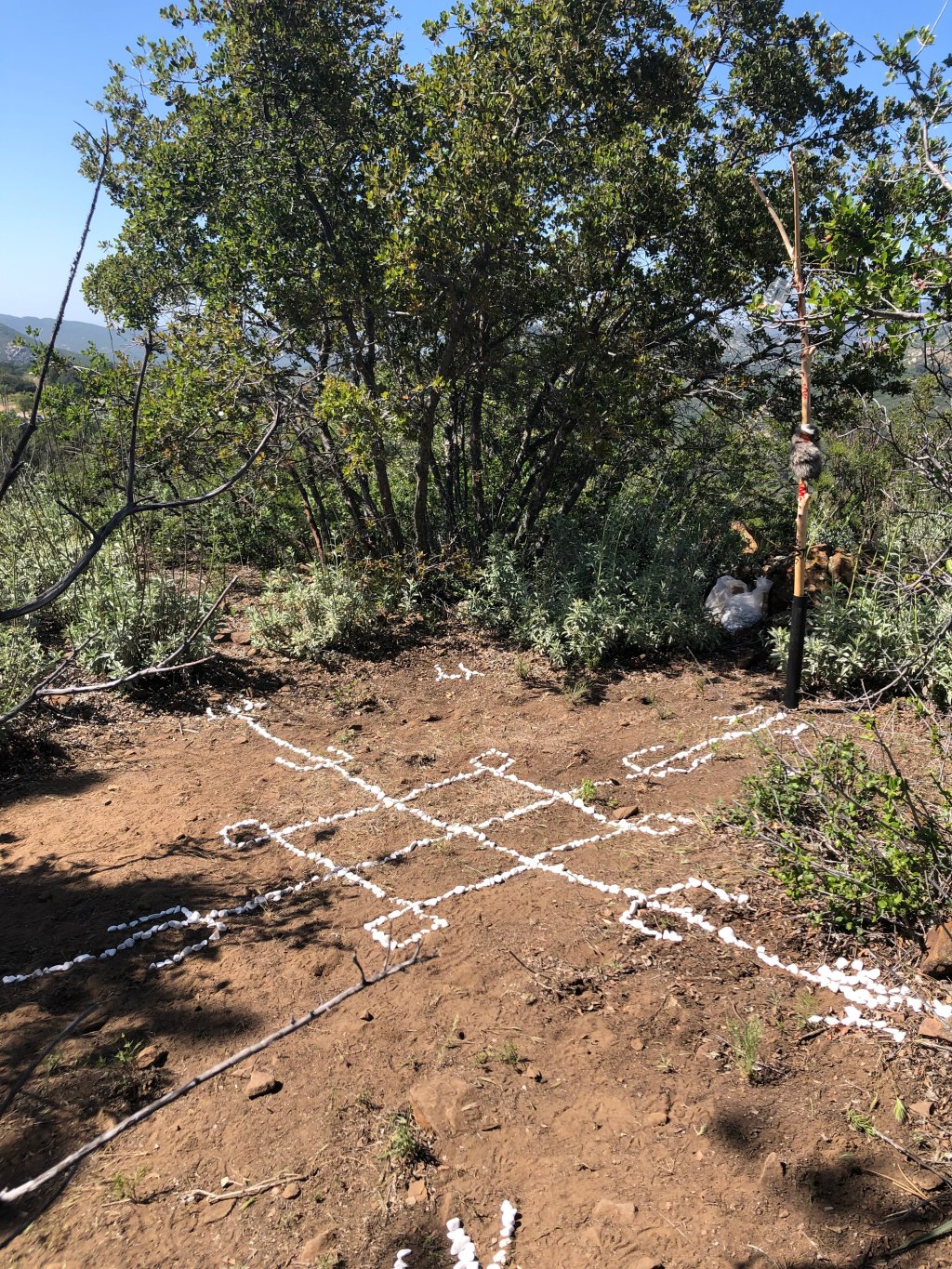 Remembrance of Rites&nbsp;Past