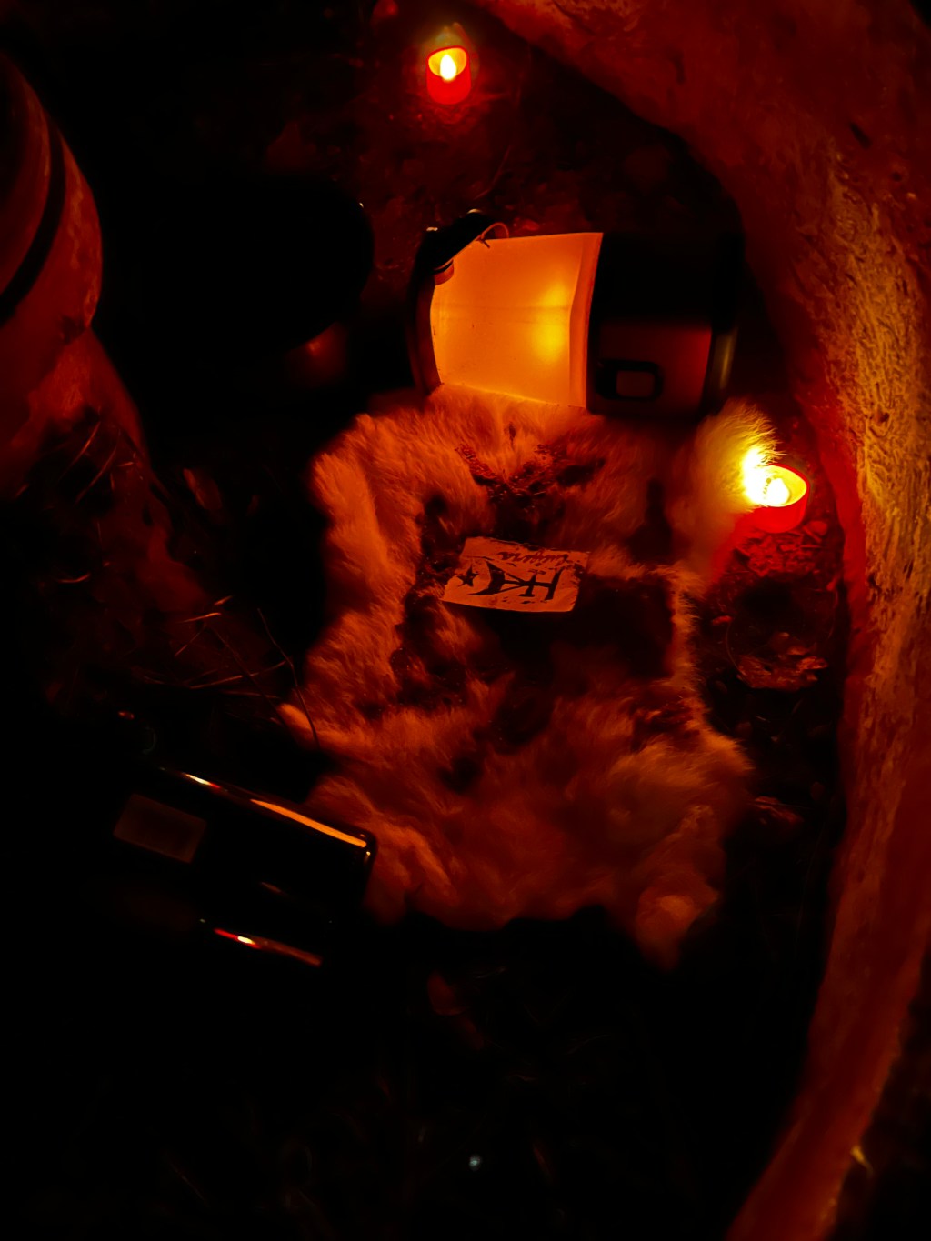 ‘She whose Hand carrieth the Sickle to harvest the&nbsp;Stars’