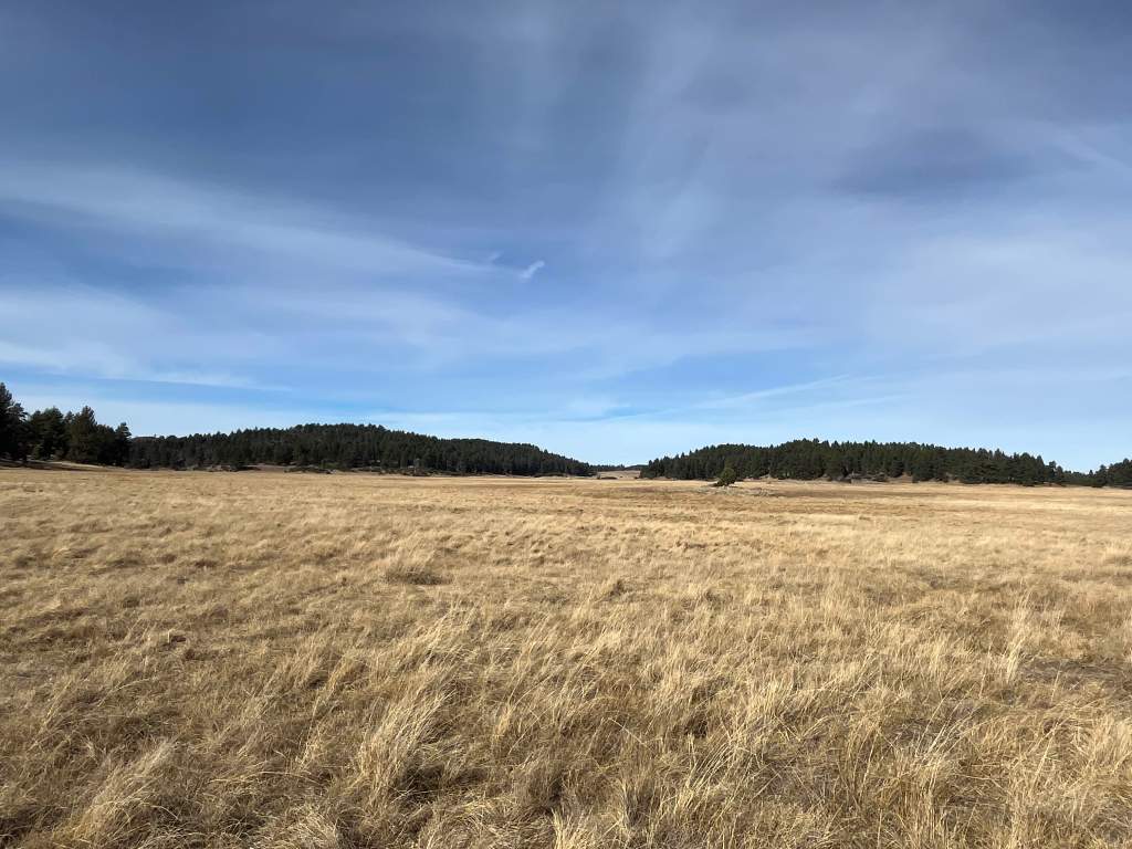 The Red Meal and the Haunted&nbsp;Meadow